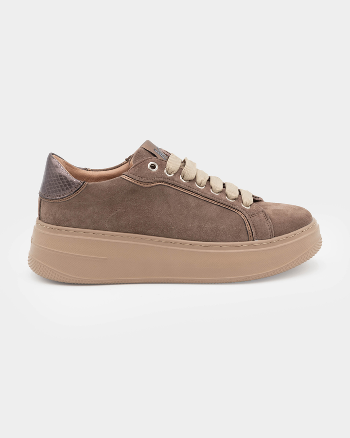 SCAMOSCIATA TAUPE