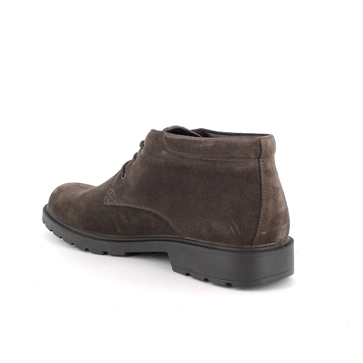IGI & CO Polacchine GORE-TEX® da uomo marrone con lacci 2108233- 2108222